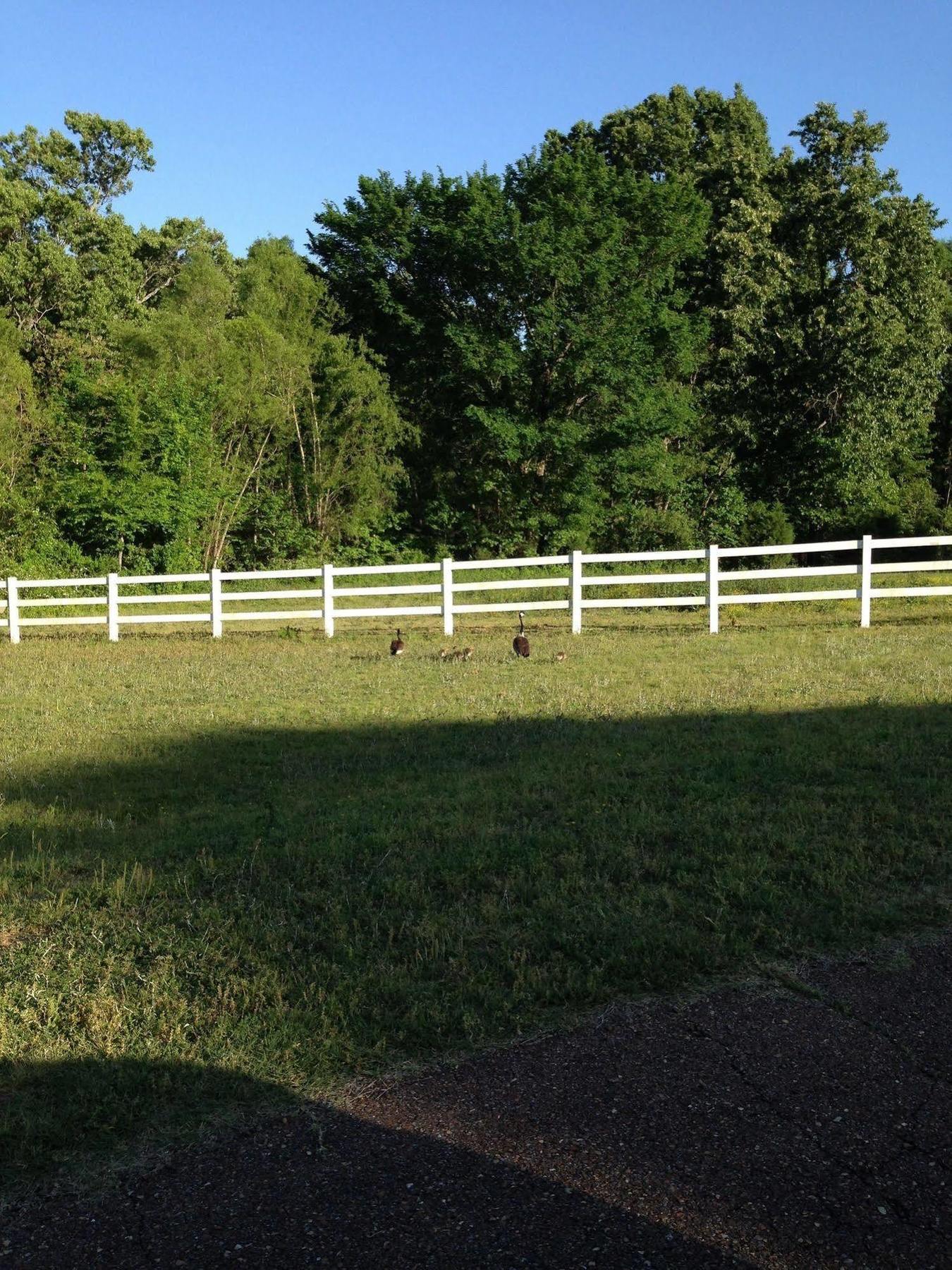 Meadow View Farm Bed & Breakfast Hernando Exteriör bild